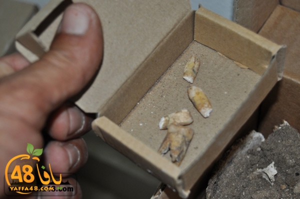 maqbara qeshleah (4).JPG